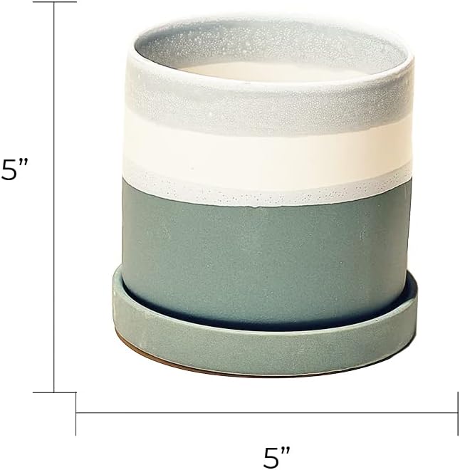CHIVE ‘Minute’ Ceramic Planter Pot — Cute 5” Colorful Succulent Pots for Indoor & Outdoor House