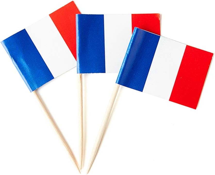 mflagperft France Flag French Flag, Small Mini France Toothpick Flags for Food, Cupcakes