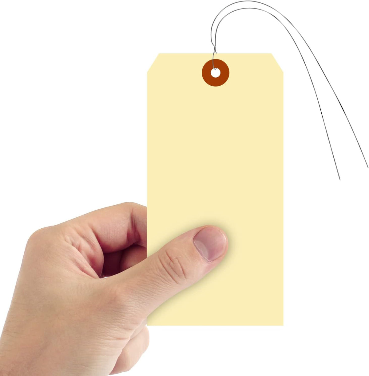 SmartSign Blank Manila Shipping Tags with Pre-Strung Wire, Size-8, Pack of 1000, 13pt Thick