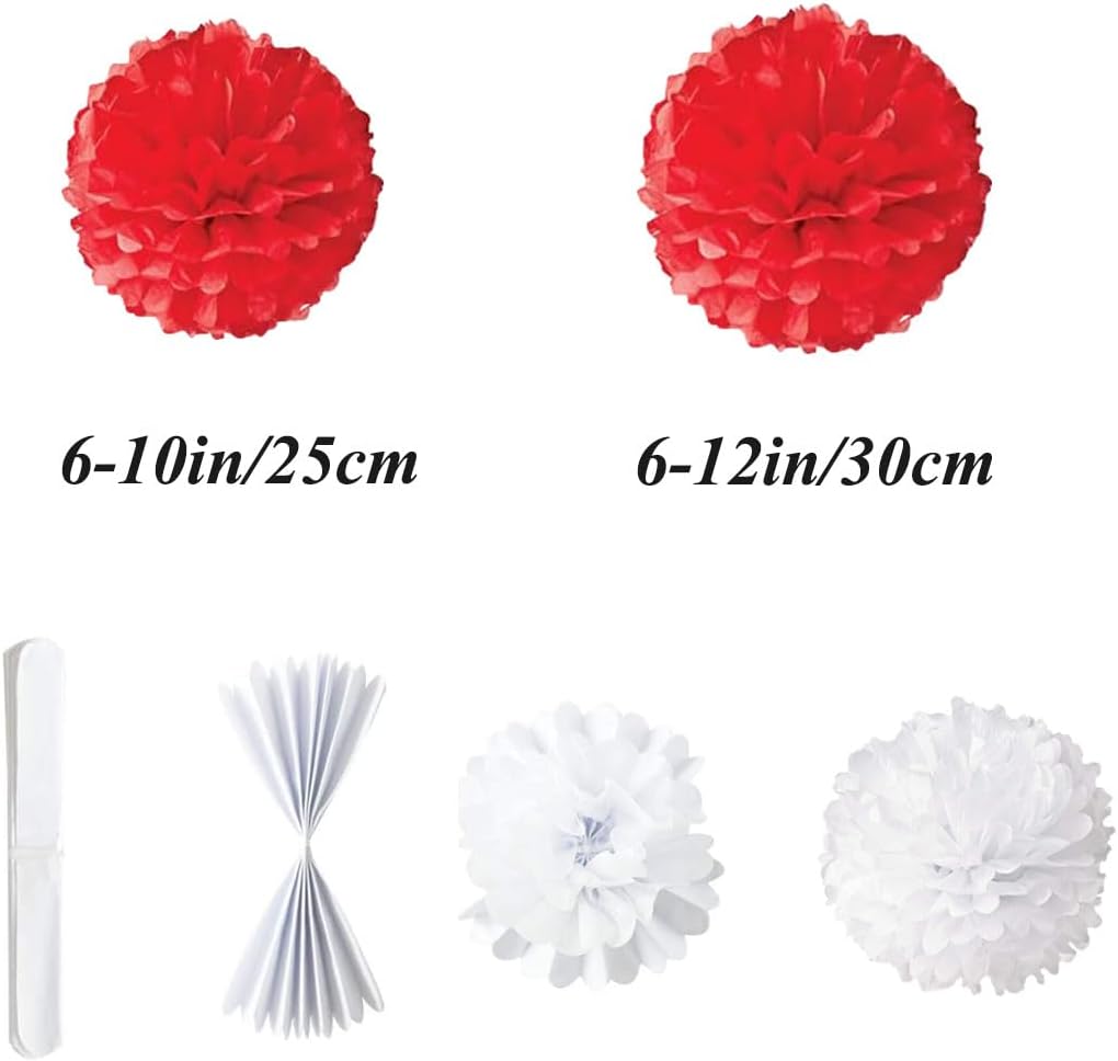 12pcs 10in 12in Red Paper Pom Poms Tissue Paper Flower Hanging Paper Flower Balls Wedding Party