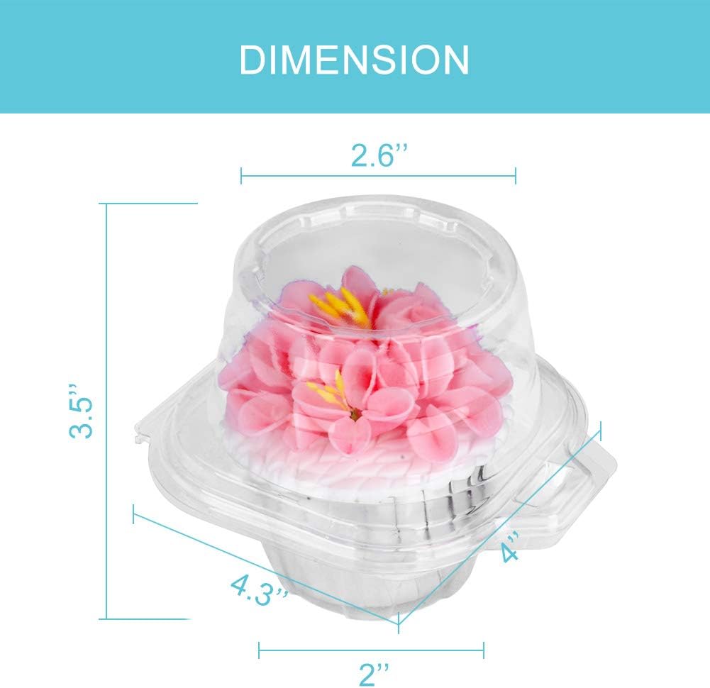 100 Pcs Cupcake Boxes Plastic Individual Cupcake Containers Single Cupcake Carrier with Connected