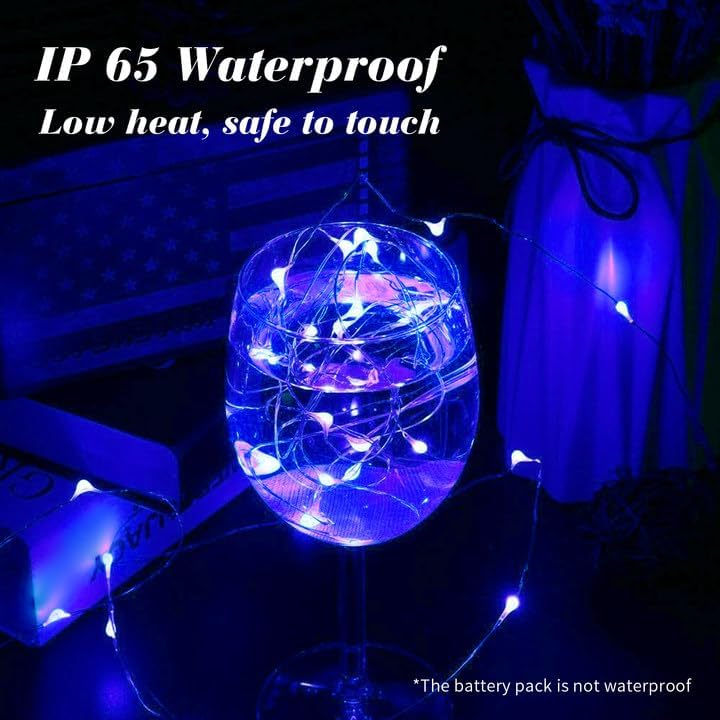 ZGWJ 100 Pack Fairy Lights Battery Operated, 7ft 20 Mini LED Fairy String Lights Silver Wire 3
