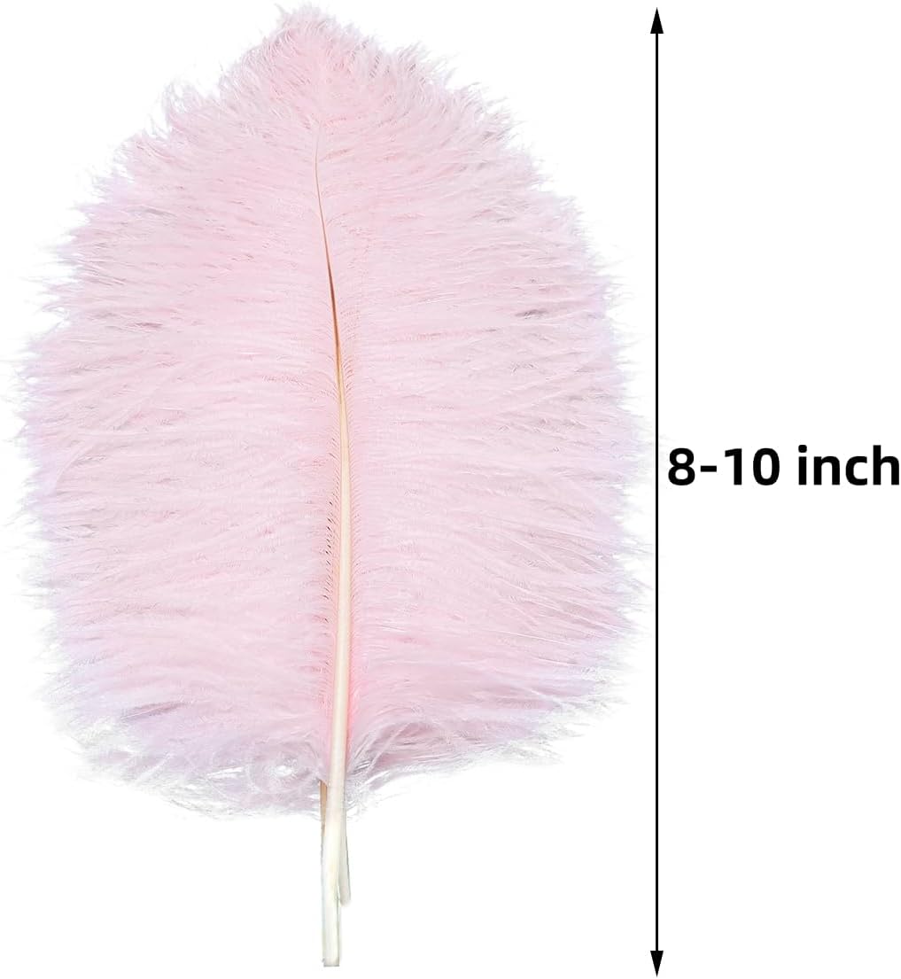 Ballinger Light Pink Ostrich Feathers - 24Pcs 8-10inch Feathers for Crafts,Party
