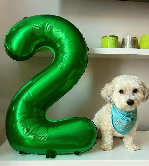 40 Inch Big Green 9 Balloon Number, Jumbo Giant Happy 9th 19 29 39 49 99 Birthday Party