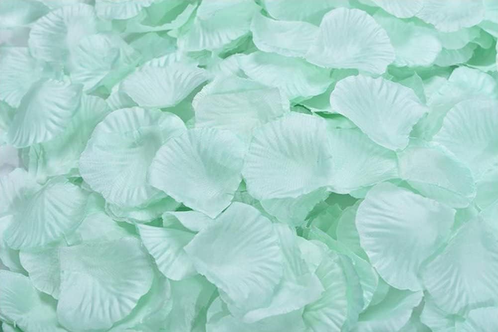 ocharzy 1000 PCS Rose Petals for Wedding, Silk Flower Rose Petals, Romantic Night for Her/Him Set