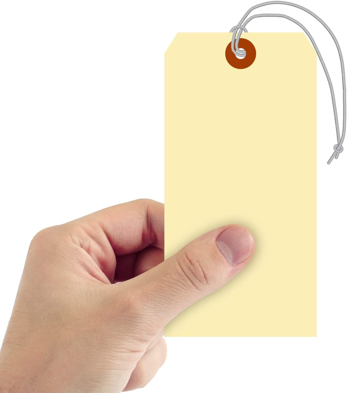 SmartSign Blank Manila Shipping Tags with Elastic Strings - Pack of 100, Size-8, 13pt Thick