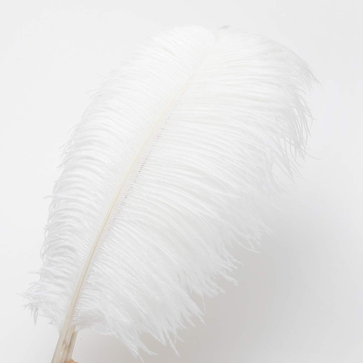 24pcs Natural White Ostrich Feathers 10-12inch (25-30cm) for Wedding Party Centerpieces，Flower
