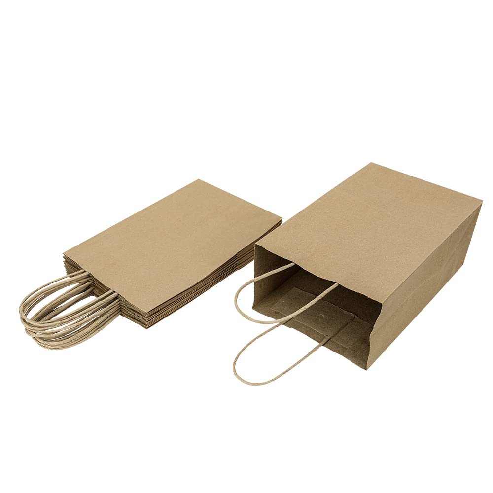 Oikss 100 Pack 5.25x3.25x8.25 Inch Small Plain Natural Kraft Paper Gift Bags with Handles Bulk for