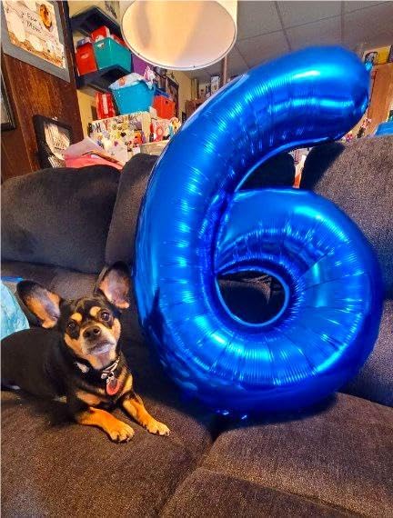 Navy Blue Jumbo Number 6 Balloon 40 Inch, Boy Girl 6th Birthday Supplies, Foil Helium 6 16 26 46 66