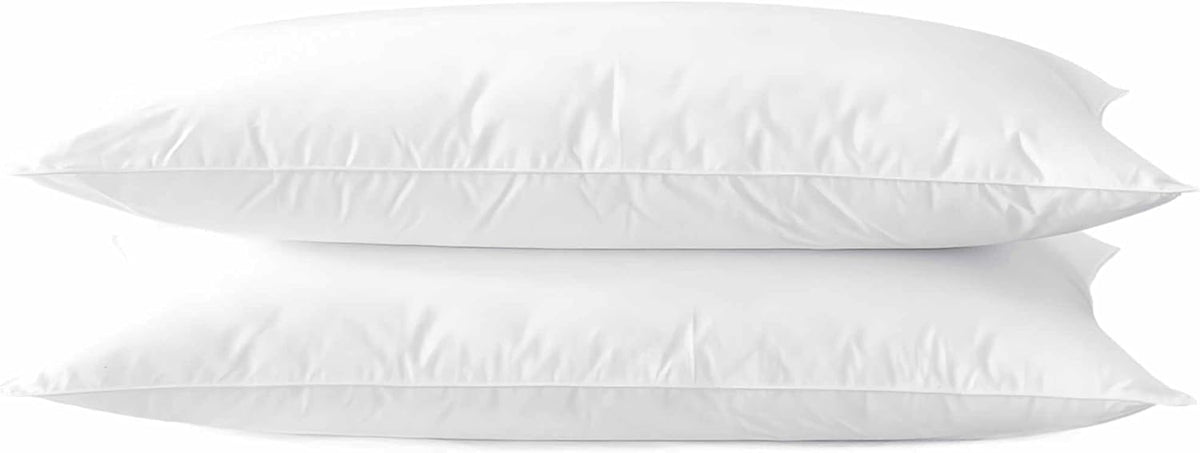 Ultra Thin Flat Soft Bed Pillows Queen Size Set of 2 Pack for Sleeping 20"x30", Hypoallergenic Skin