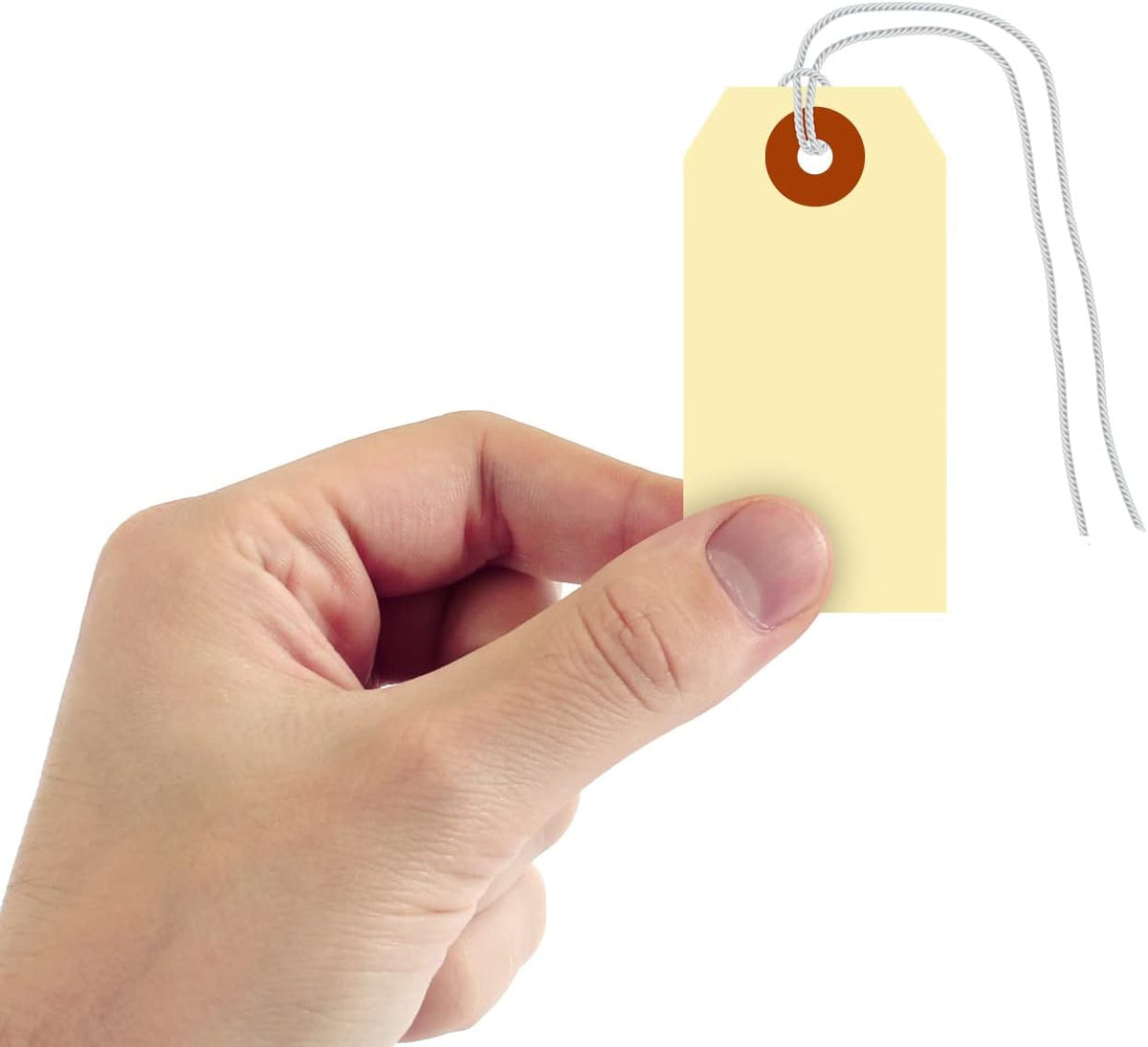 SmartSign Blank Shipping Tags with Pre-attached Loop Strings, Size-2, Pack of 1000, 10pt thick