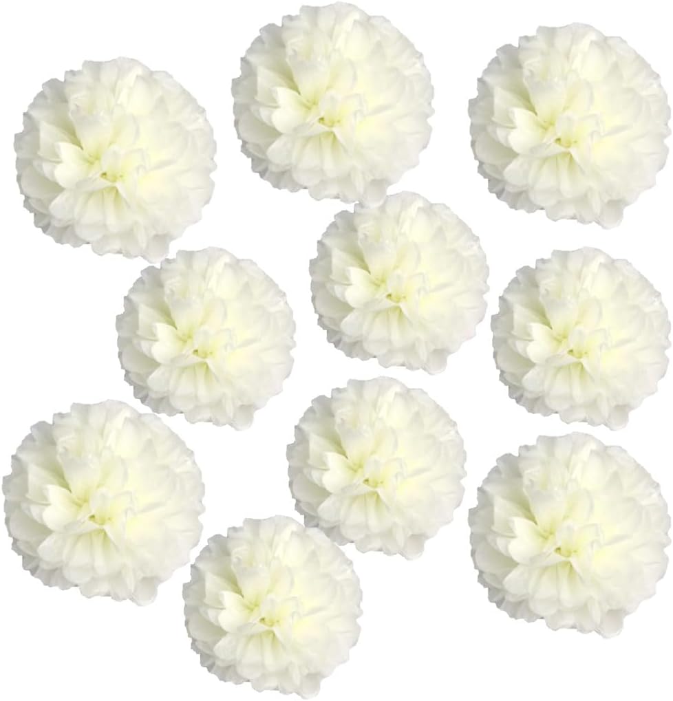 10pcs 8in 10in Cream/Beige Paper Pom Poms Tissue Paper Flower Hanging Paper Flower Balls Wedding