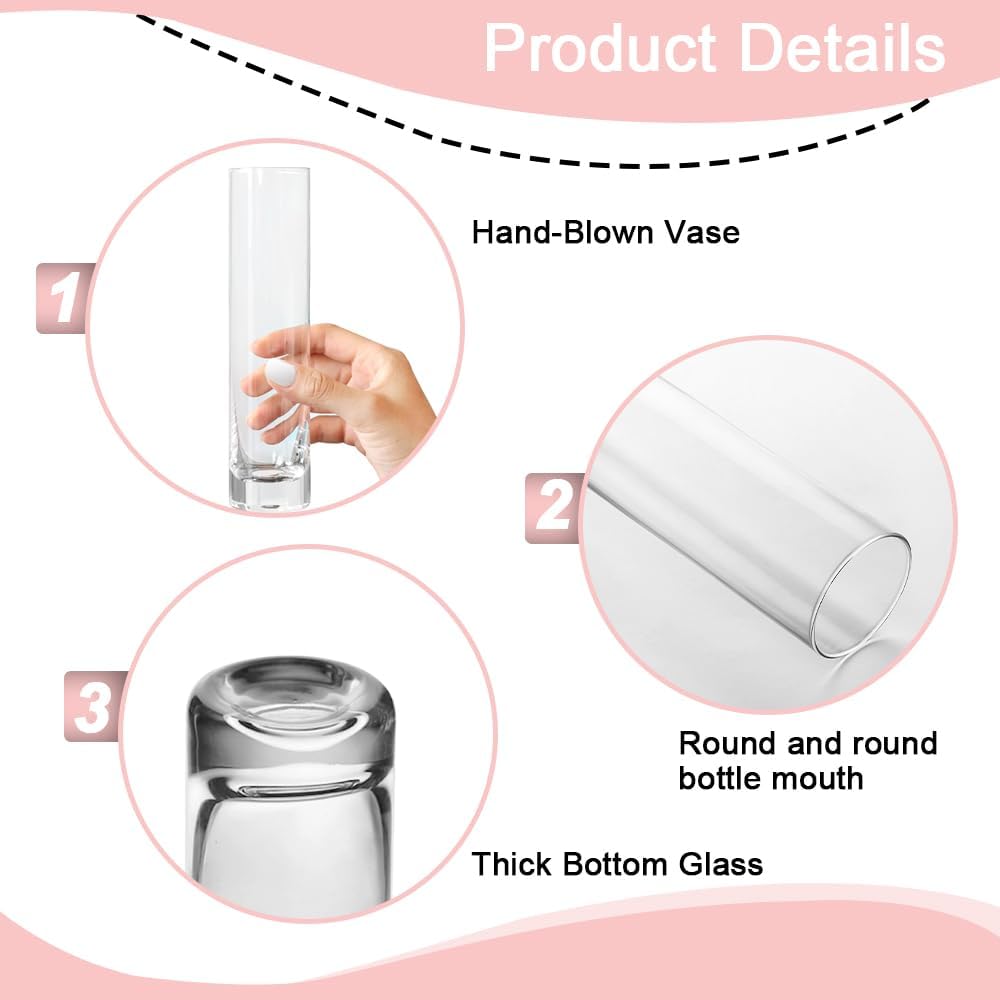 12 Pack 7.5 Inch Glass Cylinder Bud Vases for Centerpieces Clear Slim Flower Vases Tall Glass