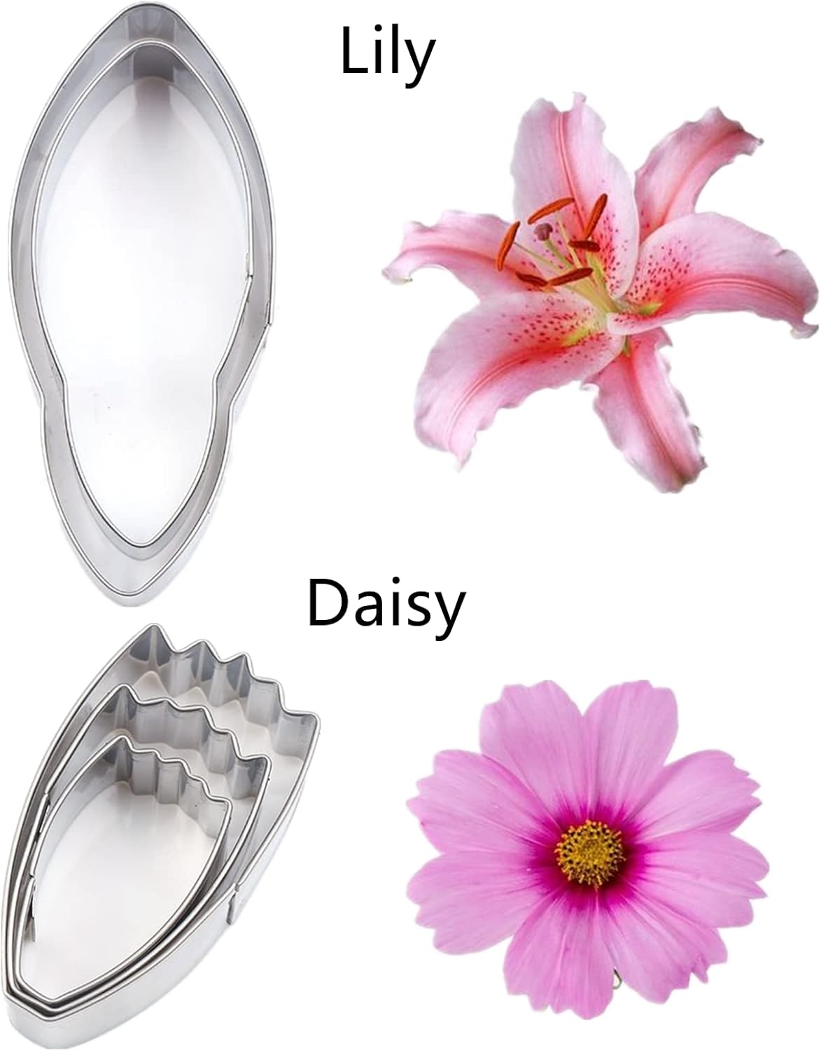7set Stainless Steel Gum Paste Flower Cutter Flower Petals Cutter Fondant Sugar Paste Cutter Molds