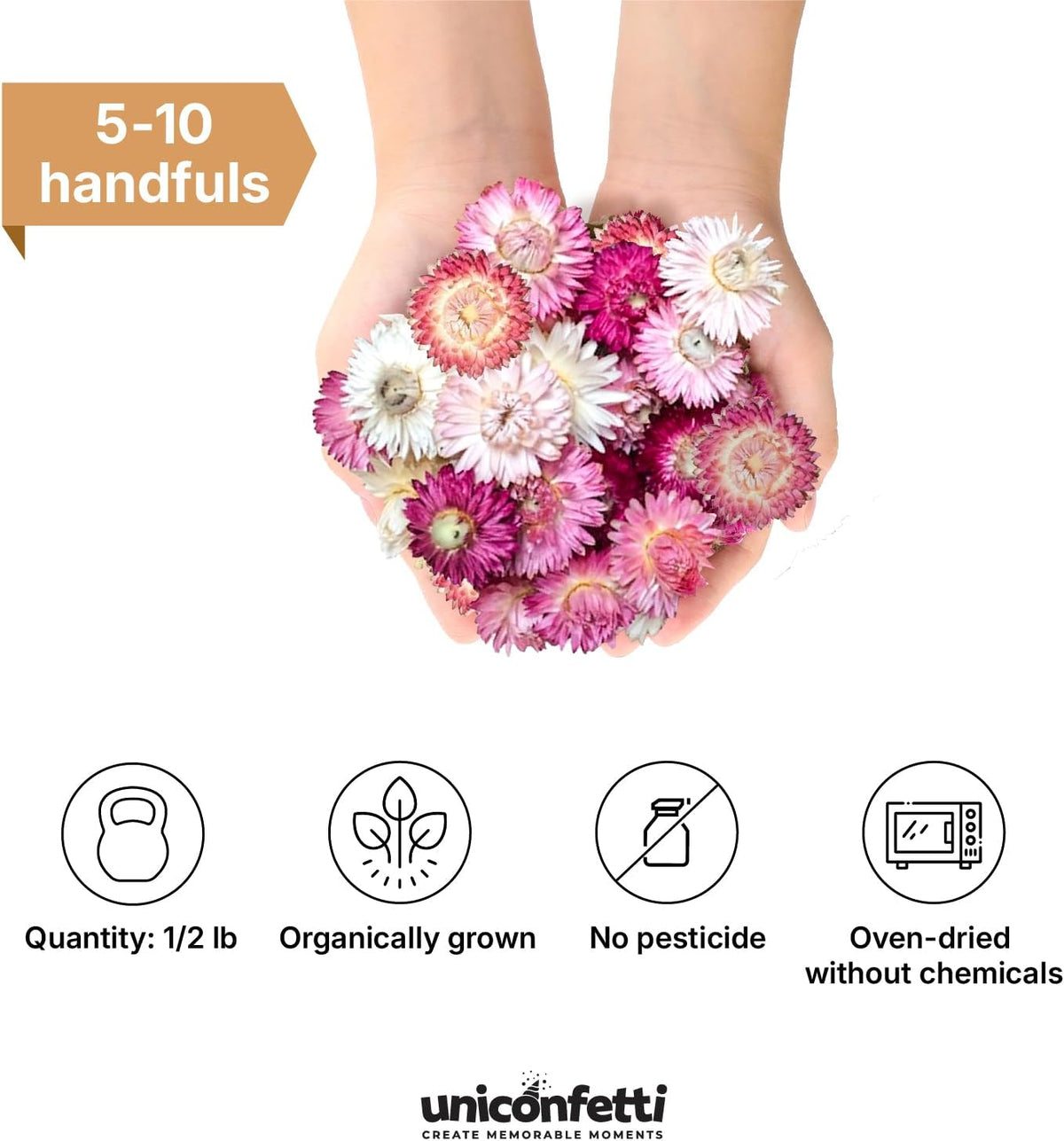 Dried Flower Pink Straw Daisy Biodegradable Confetti - Real Flower Petals for Weddings, Flower Girl