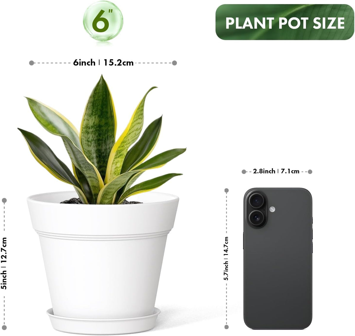 6 Inch Thick Plastic Plant Pots with Drainage Holes and Trays – 6 Pack Nursery Pots for Indoor &