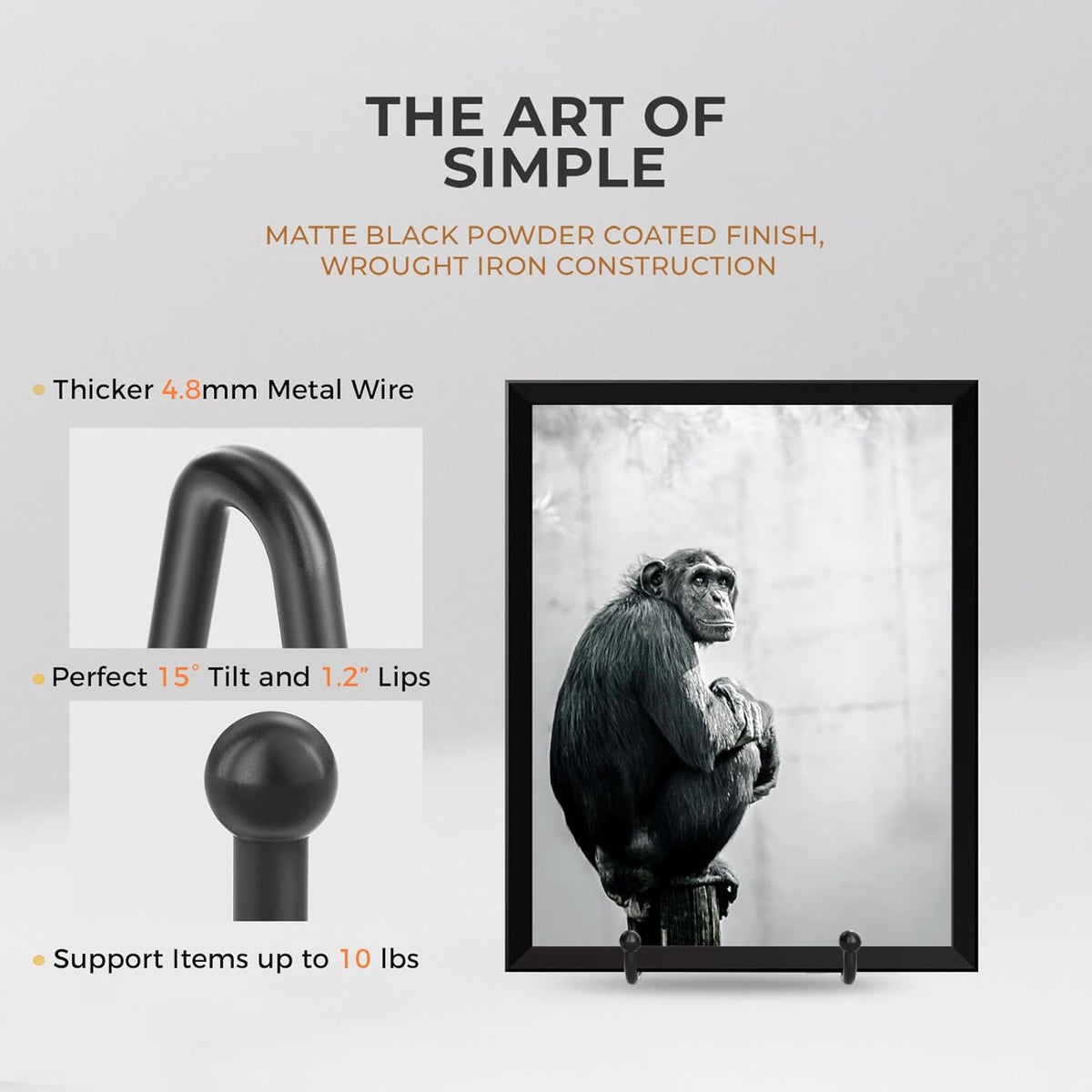 TR-LIFE Plate Stands for Display - 4.5 Inch Plate Holder Display Stand + Metal Frame Holder Stand