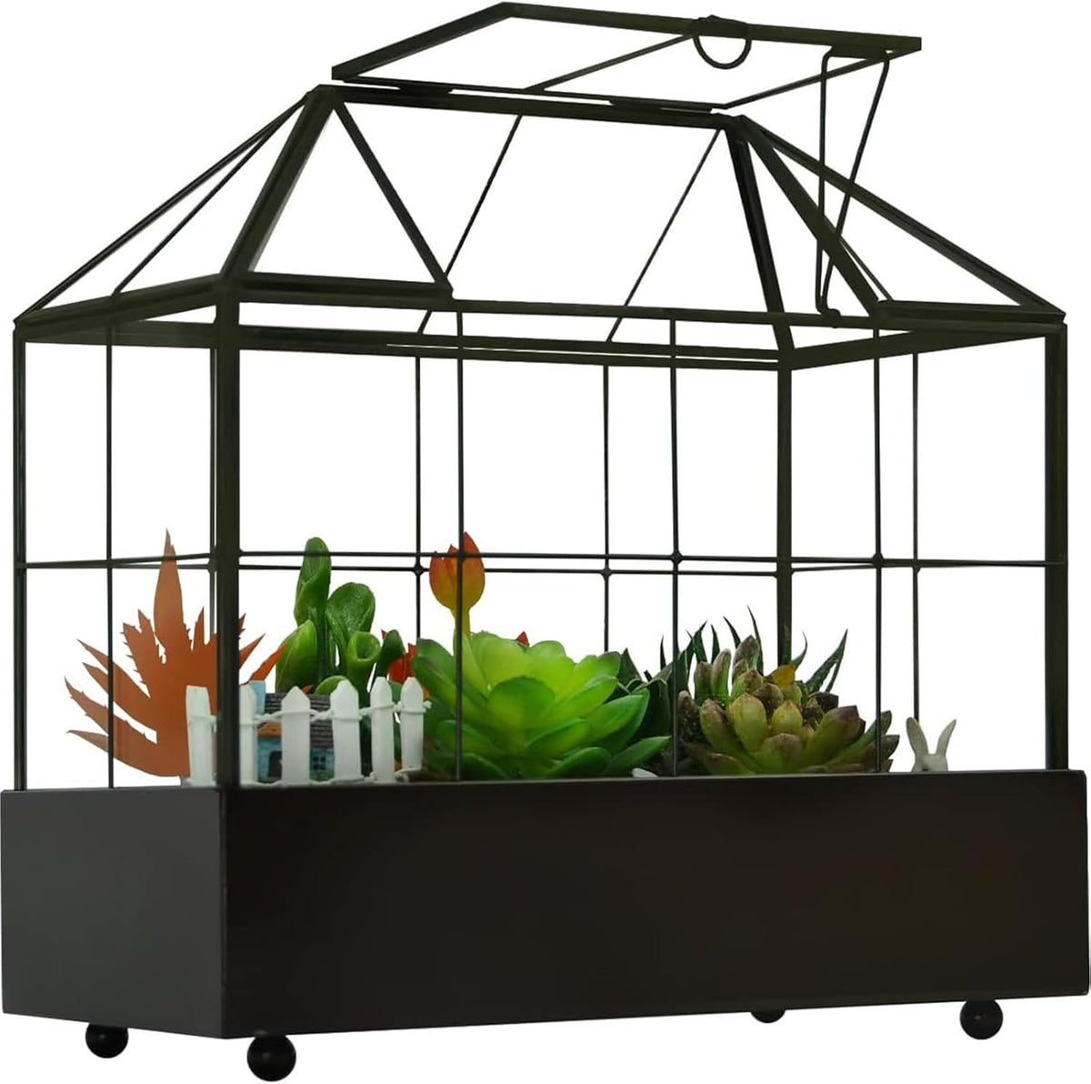 Large Tall Plant Terrarium Glass Greenhouse with Lid and Tray, Indoor Tabletop Orchid Succulent