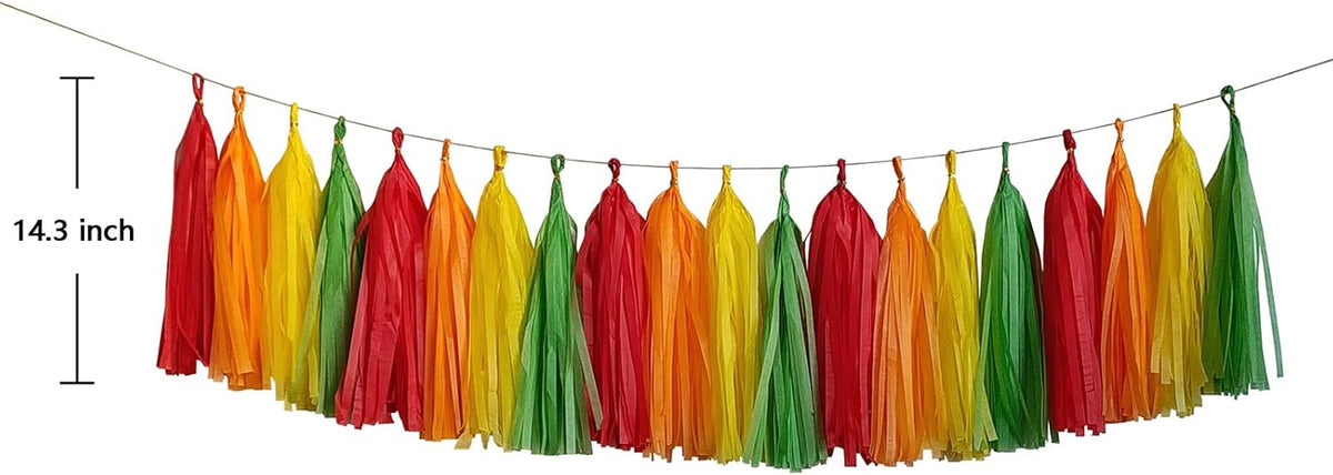 ZOOYOO Fiesta Tassel Garland Tissue Paper Tassel Banner,Table Decor,DIY Kits for Fiesta Party