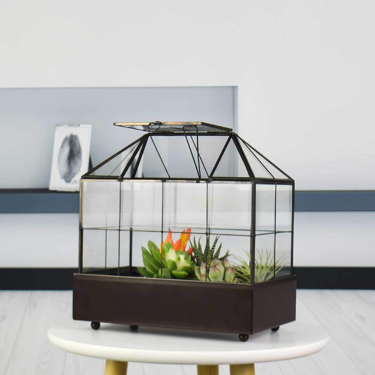 Large Tall Plant Terrarium Glass Greenhouse with Lid and Tray, Indoor Tabletop Orchid Succulent