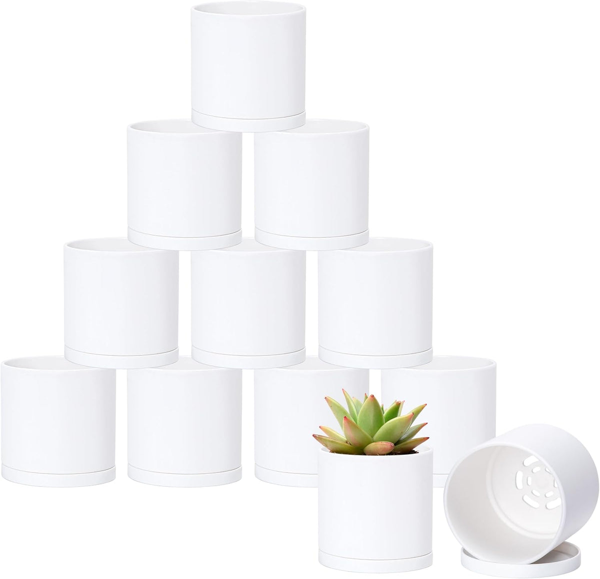 D'vine Dev 12 Pack 3.5 Inch Mini Plastic Plant Pots, Small Garden Planters for Plant with Drainage