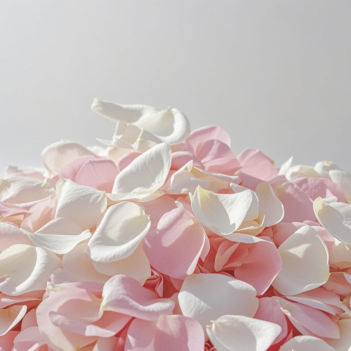 3.5 Oz Dried Rose Petals Wedding Biodegradable Petals, Natural Preservation Real Flower Petals