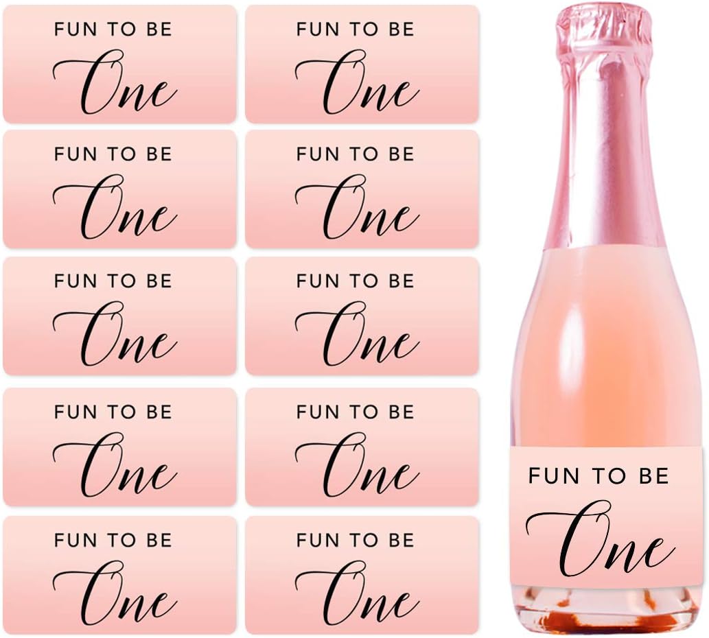 Andaz Press Blush Pink Rose Elegant Party Baby Girl's 1st Birthday Collection, Waterproof Mini