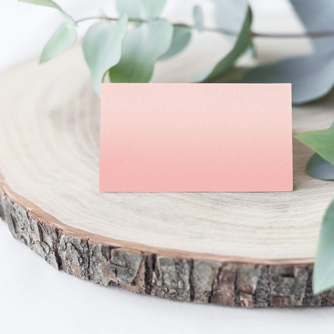 Andaz Press Blush Pink Rose Elegant Party Collection, Blank Place Cards, 20-Pack, Placecards Food