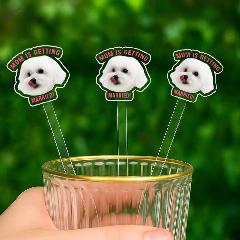 Custom 50 Pcs Double-Sided Wedding Pet Stir Sticks, Personalized Dog Cat Stir Stick, Acrylic
