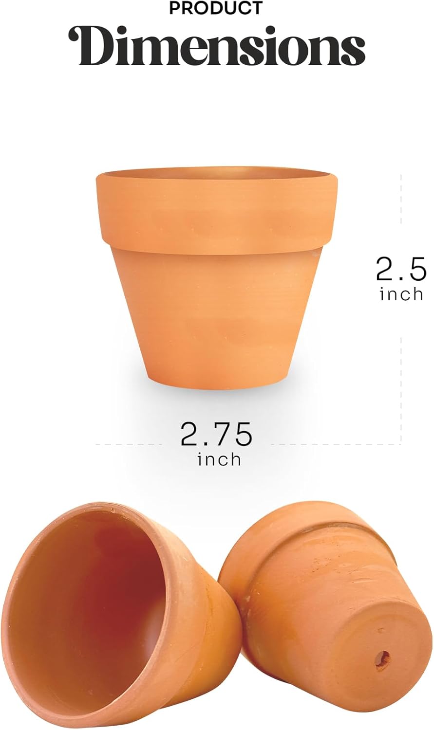 Set of 6 Seed Paper – 6 Green Onesie & 6 Orange Pots with Stickers for Baby Shower, Gender Reveal