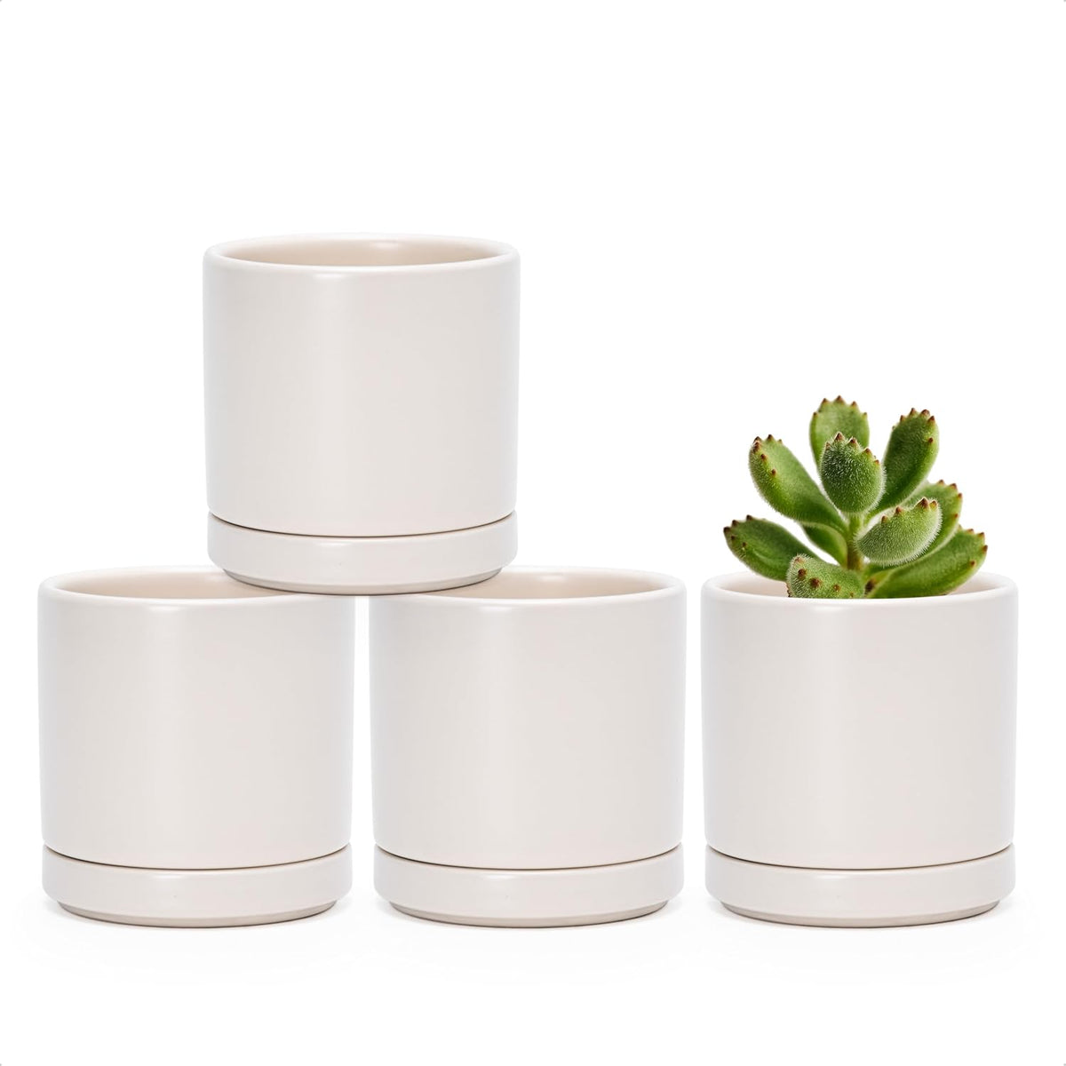 D'vine Dev Set of 4 Small Ceramic Plant Pots, 3.5 Inch Succulent Planter Pot for Plants with