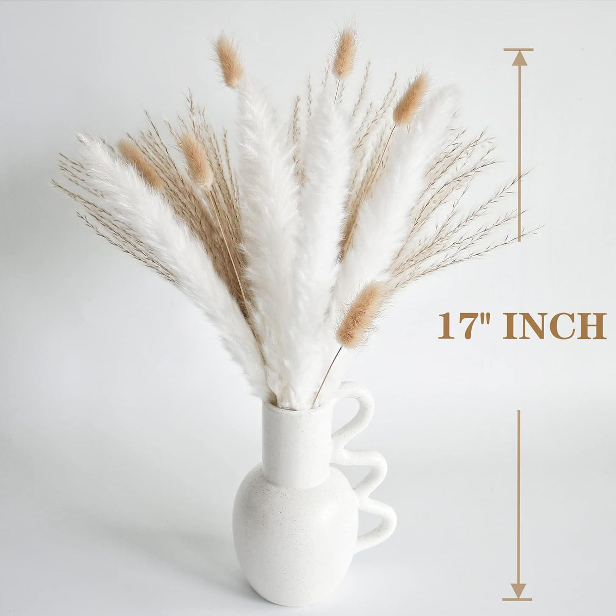 Natural Dried Pampas Grass Decor, White Pampas Grass， Bunny Tails Dried Flowers, Reed Grass Bouquet