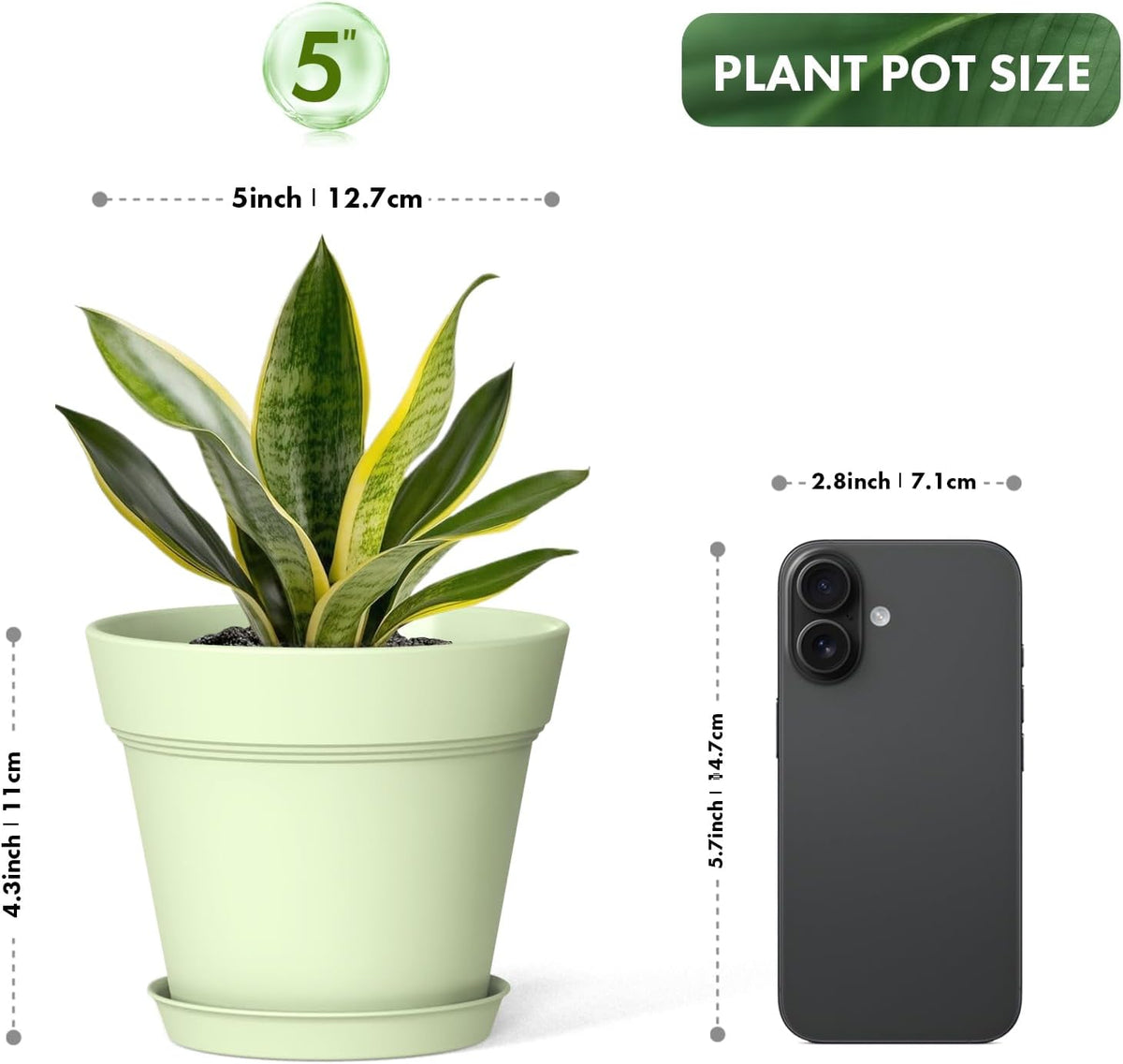 5 Inch Plastic Plant Pots with Drainage Holes and Trays – 6 Pack Small Nursery Pots for Indoor &