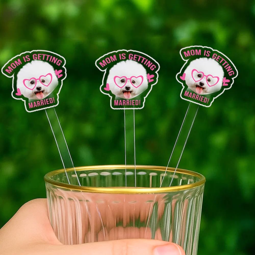 Custom 50 Pcs Double-Sided Wedding Pet Stir Sticks, Personalized Dog Cat Stir Stick, Acrylic