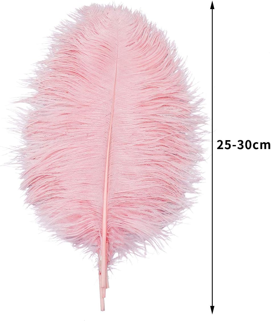 24pcs Natural Lotus Pink Ostrich Feathers 10-12inch (25-30cm) for Wedding Party Centerpieces，Flower