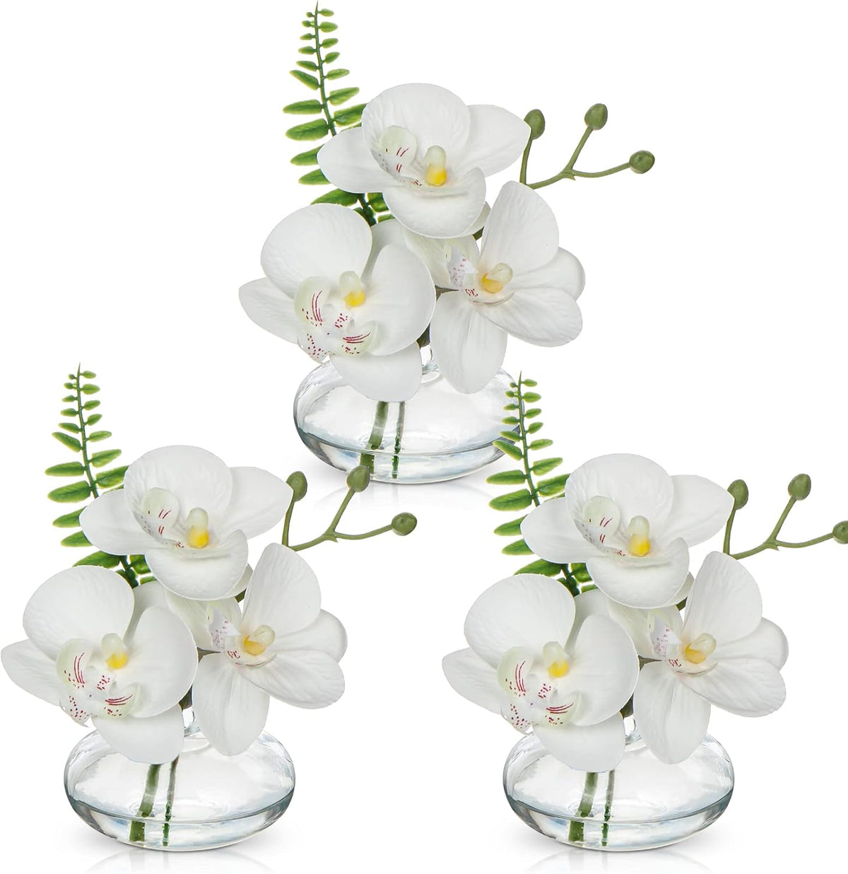 White Orchids Artificial Flowers Faux Orchids Arrangement in Clear Glass Vases Set of 3 Real Touch