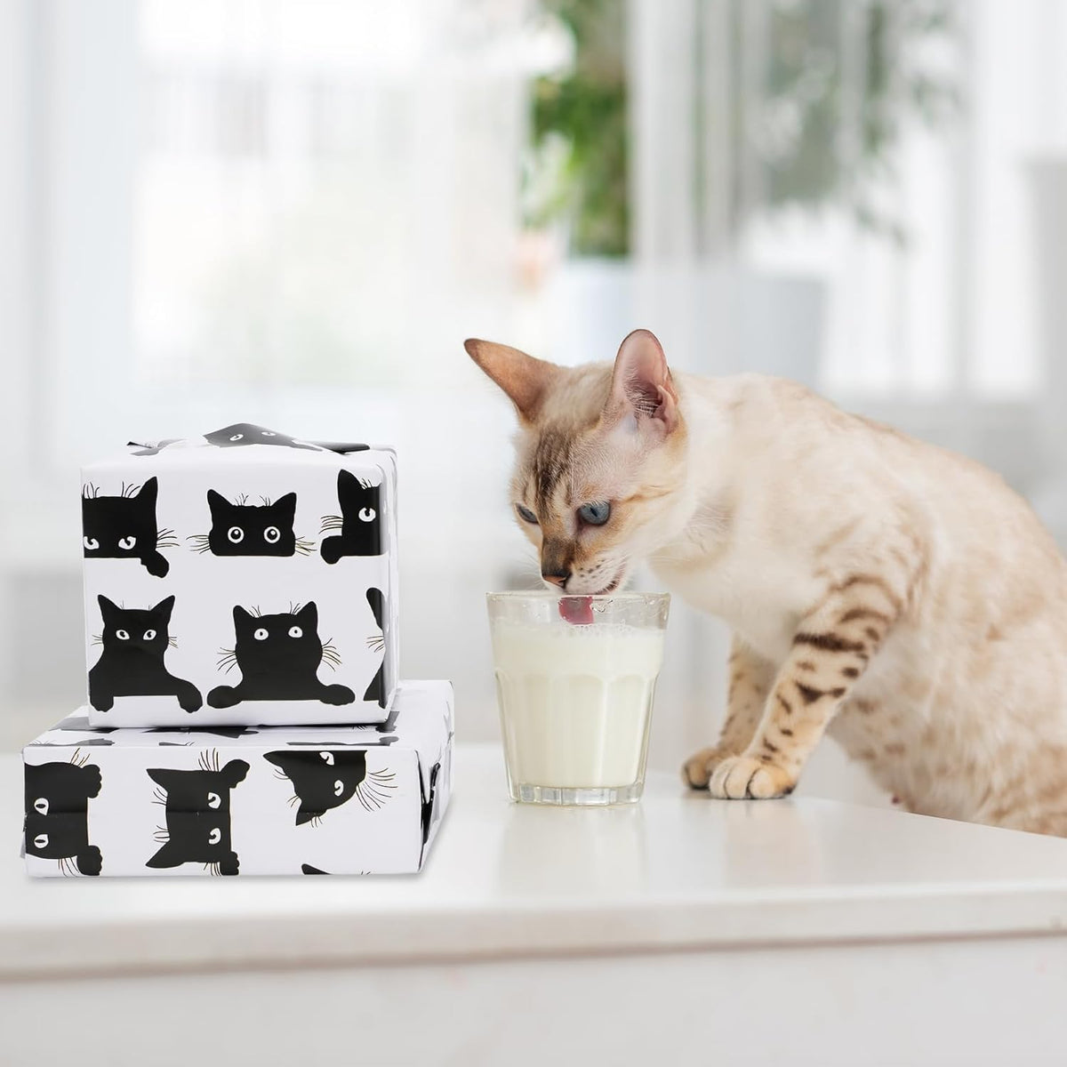 JarThenaAMCS 8 Sheets Cat Wrapping Paper - Not Roll - Cartoon Black Cat Gift Wrap Paper Folded Flat