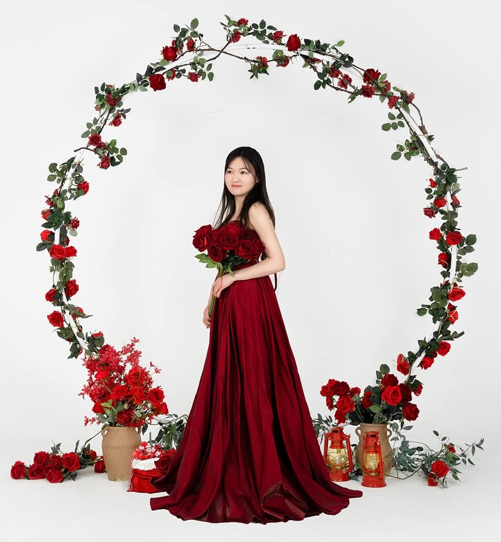 Round Backdrop Stand Circle Arch, 6.5ft White Metal Balloon Arch Kit for Party Decoration Wedding