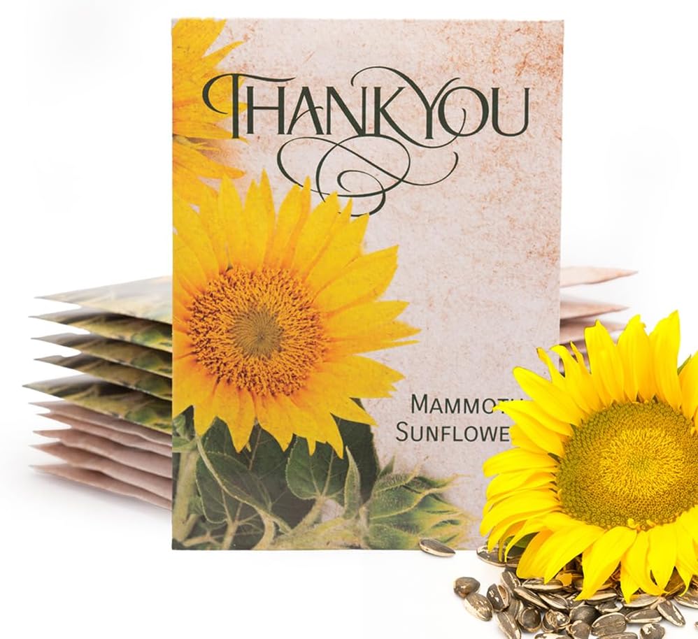 Bentley Thank You Packet - Sunflower Seeds - Pack of 25 - Perfect Eco-Friendly Thank You Gift - Non