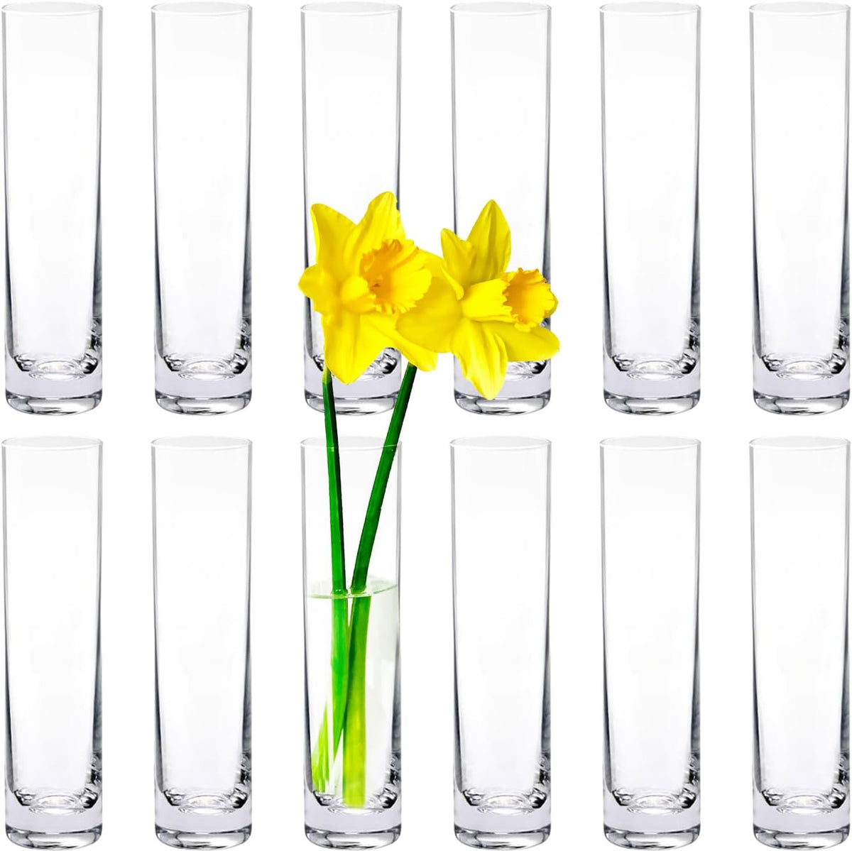 12 Pack 7 Inch Glass Cylinder Bud Vases for Centerpieces Clear Slim Flower Vases Tall Glass