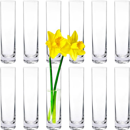 12 Pack 7 Inch Glass Cylinder Bud Vases for Centerpieces Clear Slim Flower Vases Tall Glass