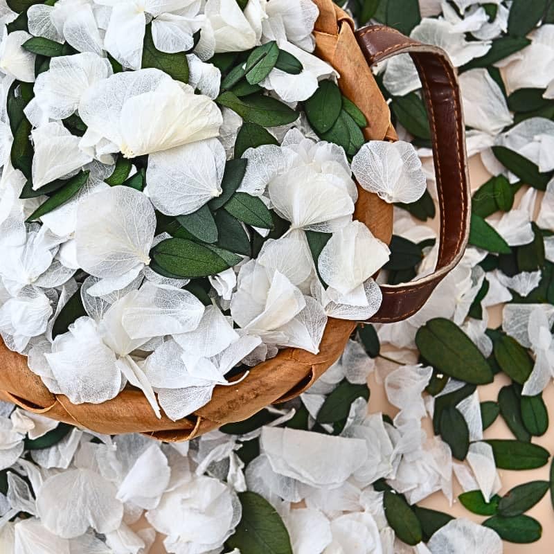 Real Dried Ivory White Hydrangea Flower & Eucalyptus Petals - 3000+ Natural Fragrant Confetti for