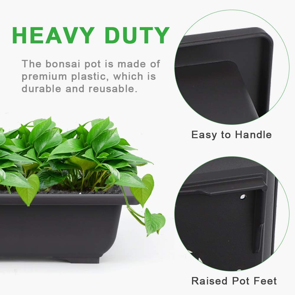 GROWNEER Bonsai Training Pots 3 Packs 9Inch with Drainage Humidity Trays, Bonsai Tree Starter Kits