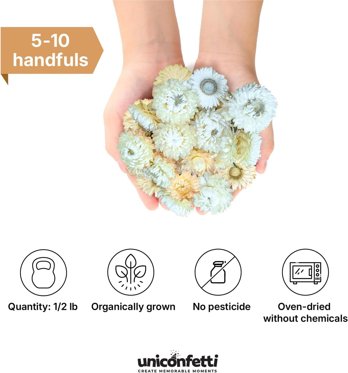 Dried Flower White Straw Daisy Biodegradable Confetti - Real Flower Petals for Weddings, Flower