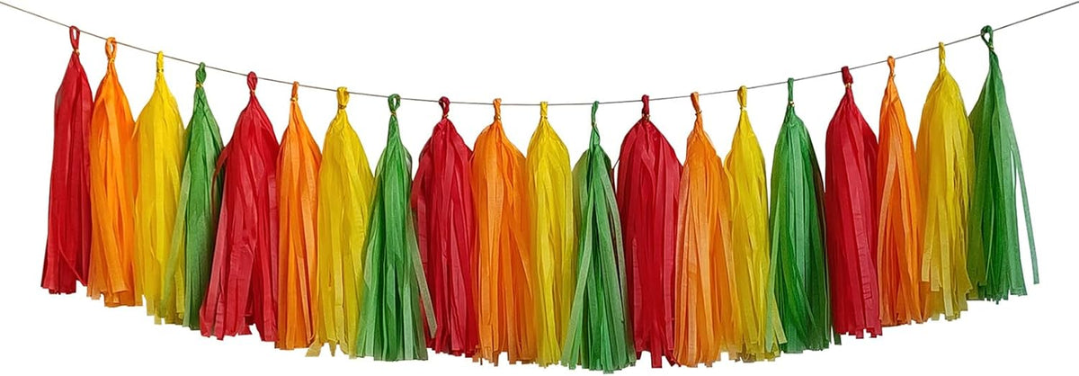 ZOOYOO Fiesta Tassel Garland Tissue Paper Tassel Banner,Table Decor,DIY Kits for Fiesta Party