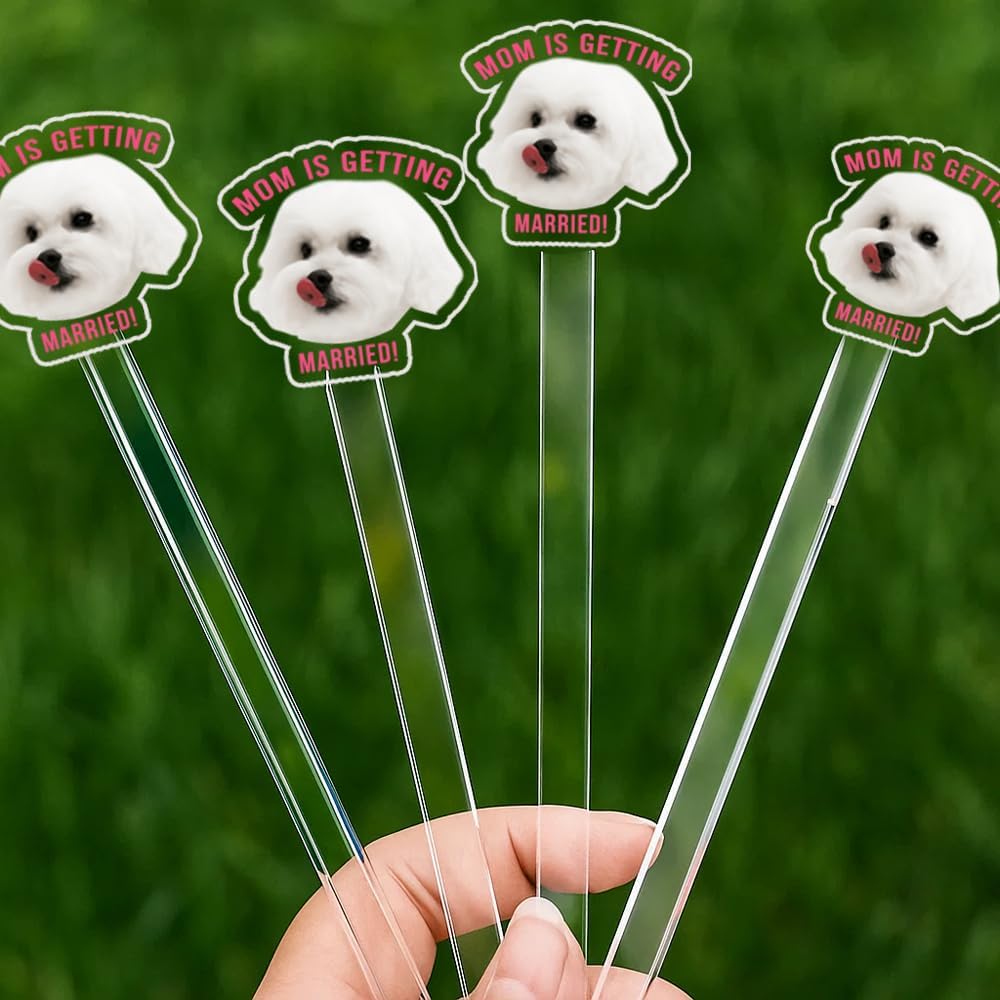 Custom 50 Pcs Double-Sided Wedding Pet Stir Sticks, Personalized Dog Cat Stir Stick, Acrylic