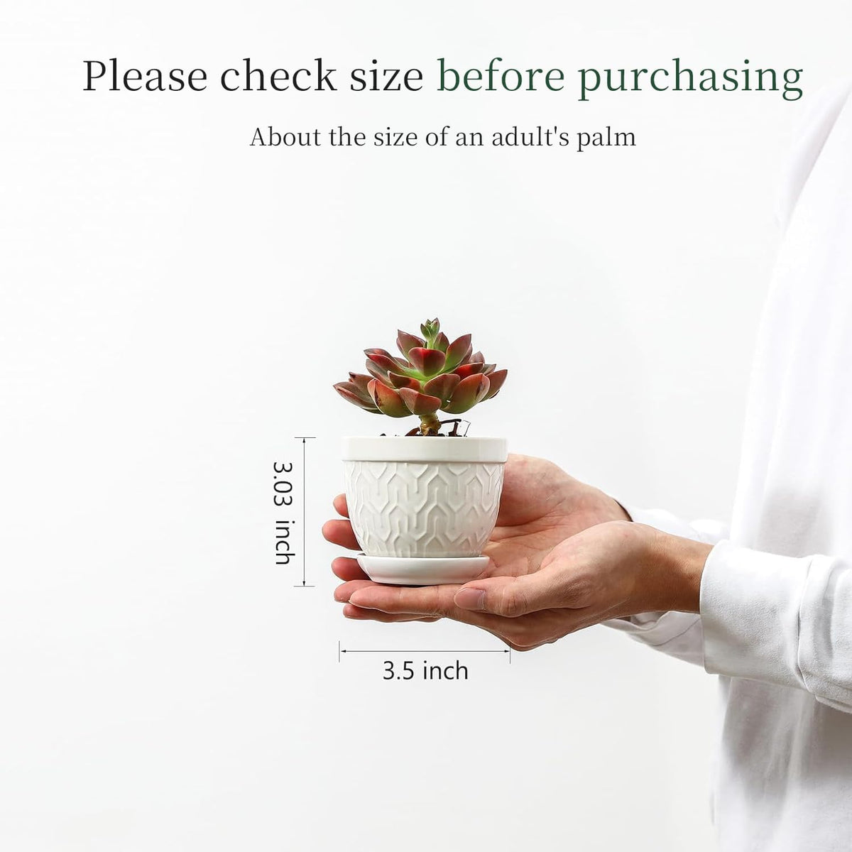 Sureasy Succulent Pots, 3.5 Inch Flower Pots for Indoor Plants, Small Plant Pots with Saucer &