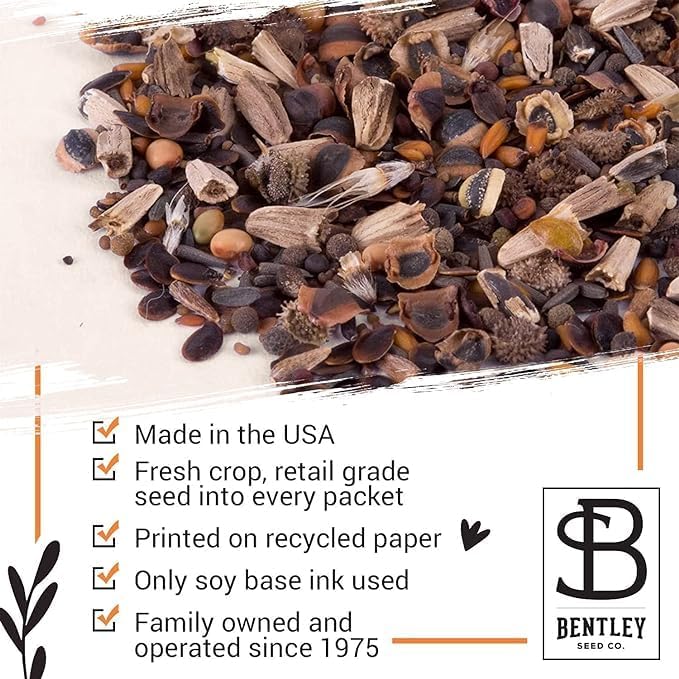 Bentley Seed Co. | Bee Kind Pollinator | Beautiful Bee Art | Environmental Favors Cards for Guests