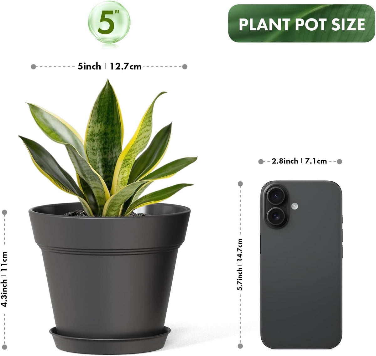 5 Inch Plastic Plant Pots with Drainage Holes and Trays – 6 Pack Small Nursery Pots for Indoor &