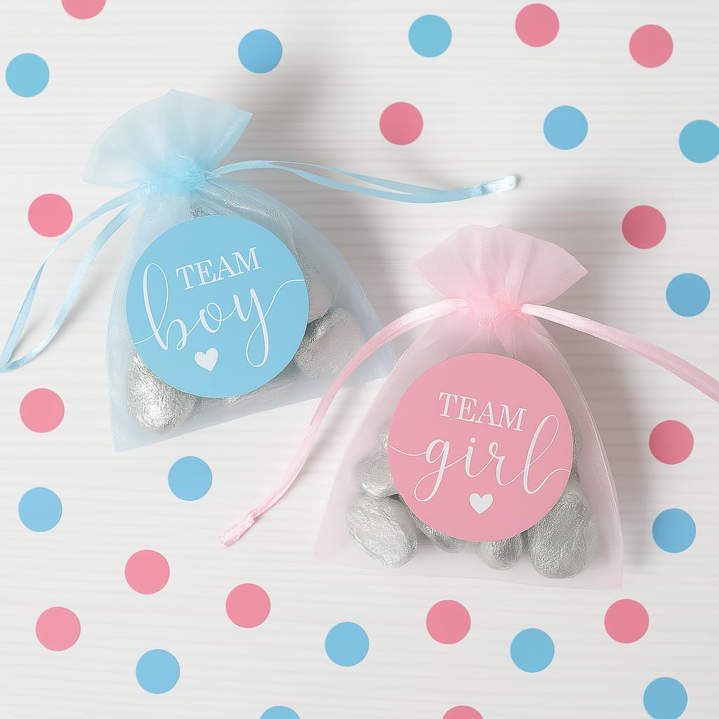 Pink or Blue Gender Reveal Stickers, 40 Count
